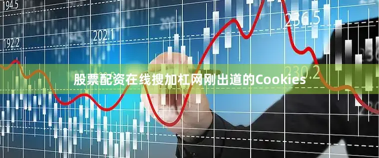 股票配资在线搜加杠网刚出道的Cookies