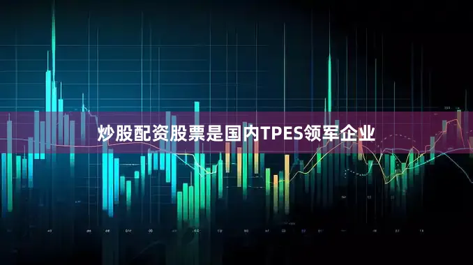 炒股配资股票是国内TPES领军企业